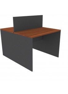 ESCRITORIO DUO 100x120