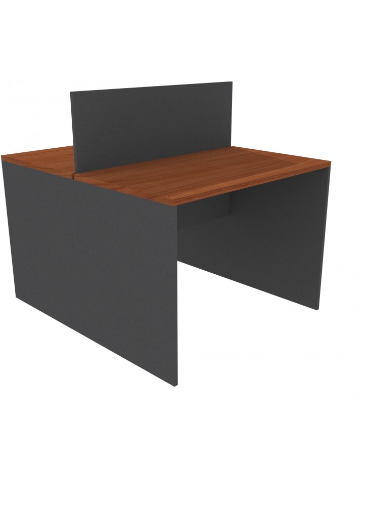 ESCRITORIO DUO 100x120