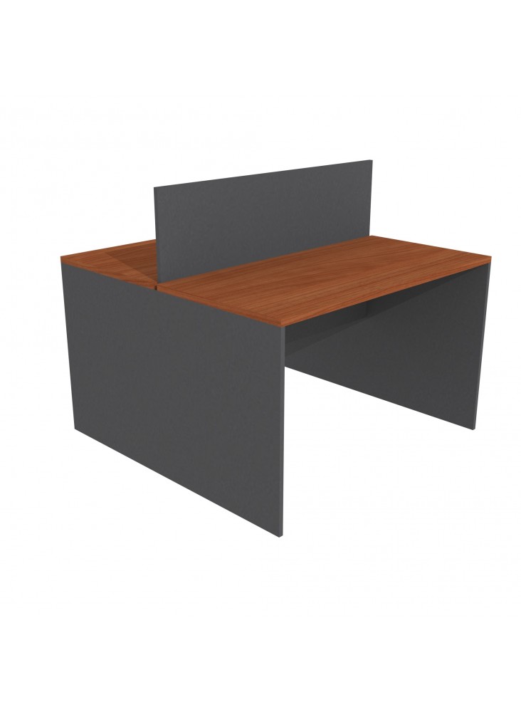 ESCRITORIO DUO 120x120